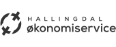 Kunde Hallingdal C398konomiservice